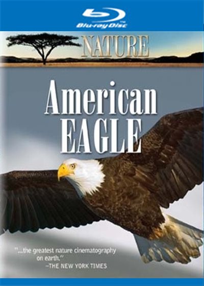 Nature: Pale Male - DVD - 033937034893 - United States - 4/27/2004