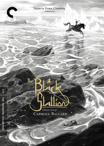 The Black Stallion - Blu-ray - 883904307372 - United States - 3/18