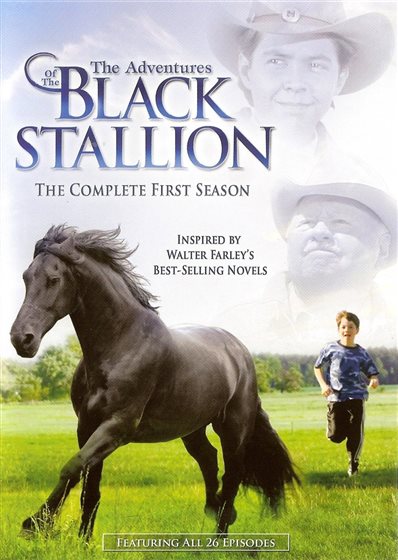 The Adventures of Black Stallion: The Complete First Season - DVD