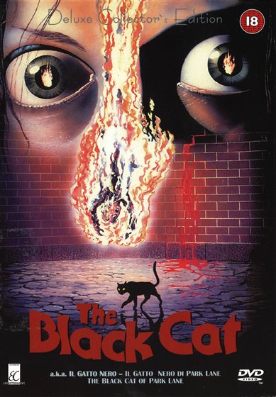 超希少 BLACK CAT DVD宣伝ポスター 超希少 BLACK CAT DVD宣伝ポスター 