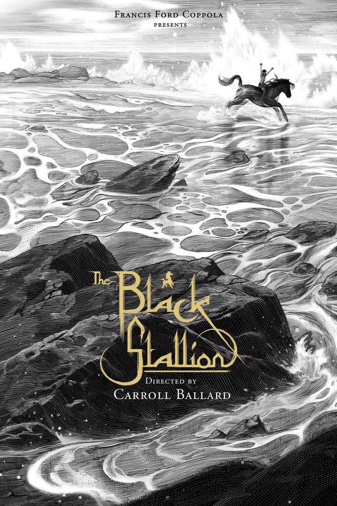 Black Stallion - DVD - 084296407279 - United States - 2/1/2005