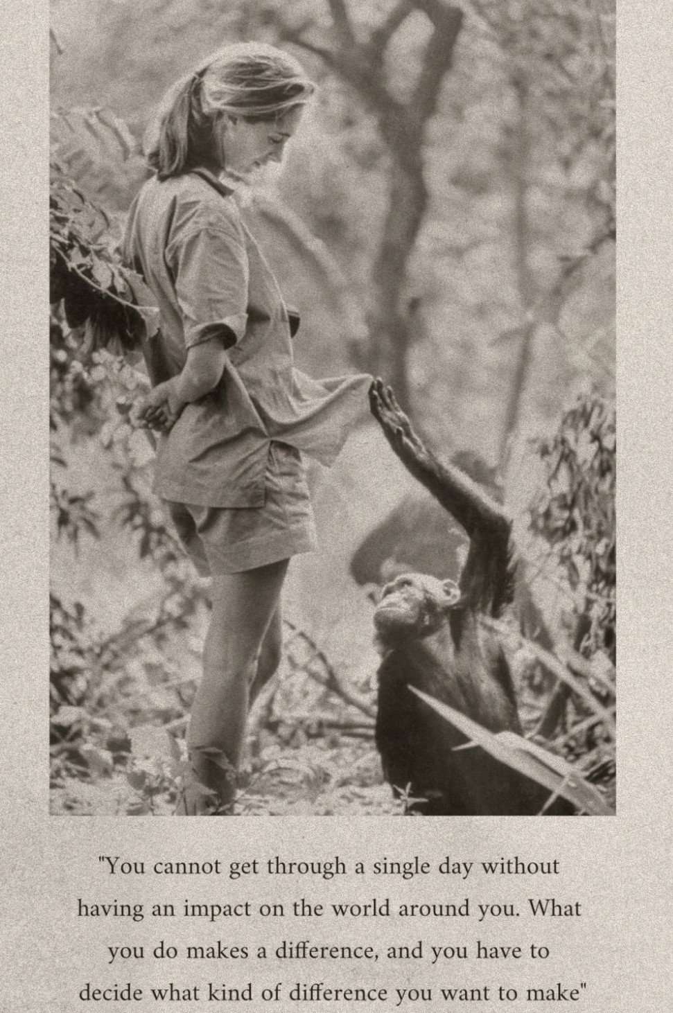 Famous Last Words: Dr. Jane Goodall - (2025) - My Movies - The Movie ...